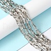 Transparent Electroplate Glass Beads Strands EGLA-F157-PL02-2