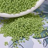 MIYUKI Delica Beads SEED-J020-DB0733-1
