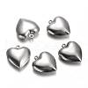 Tarnish Resistant Stainless Steel Pendants STAS-M226-02B-1