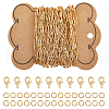 Globleland 5M 304 Stainless Globleland 304 Steel Paperclip Chains FIND-GL0001-82-1