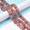 Natural Straswberry Quartz Beads Strands G-D480-A14-4