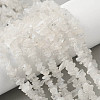 Natural Rainbow Moonstone Chip Beads Strands G-C195-01-1