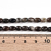 Natural Biotite Beads Strands G-N346-02A-02-5