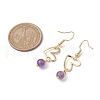 Natural Mixed Gemstone Dangle Earrings EJEW-JE05658-3