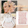 2 Yards Polyester Embroidery Strawberry & Flower Lace Ribbon OCOR-WH0100-55-6