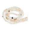 Natural Agate Beads Strands G-H302-A04-03-4