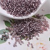 MIYUKI Delica Beads X-SEED-J020-DB0146-1