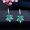 Brass Cubic Zirconia Hoop Earrings WGBE890-02-1