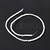 Natural Trochus Shell Beads Strands SSHEL-H070-01G-4