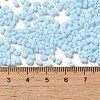 Glass Frosted Seed Beads SEED-K009-05B-09-4