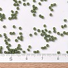 MIYUKI Delica Beads X-SEED-J020-DB1585-4
