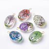 Glass Pendants X-GLAA-Q070-004-1