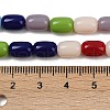 Handmade Lampwork Beads Strands LAMP-S070-09-4