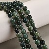 Natural Green Moss Stone Round Bead Strands G-P070-49-6mm-2