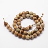 Natural Picture Jasper Beads Strands G-D840-47-4mm-2