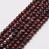 Natural Tiger Eye Bead Strands G-P230-14-4mm-1