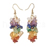 Reiki Natural Mixed Stone Chip Beads Dangle Earrings for Girl Women EJEW-JE04654-3
