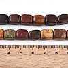 Natural Polychrome Jasper/Picasso Stone/Picasso Jasper Beads Strands G-T140-60B-5