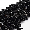 Natural Obsidian Chip Beads Strands G-E271-135-1
