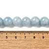 Dyed Natural Malaysia Jade Beads Strands G-G021-02C-20-3