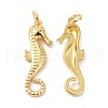 Eco-Friendly Brass Pendants KK-C221-04G-3