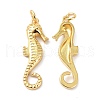 Eco-Friendly Brass Pendants KK-C221-04G-3