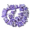 Dyed Natural Trochus Shell Beads Strands SSHEL-C013-09-2
