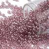 TOHO Round Seed Beads SEED-JPTR08-0110-1