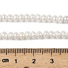 Electroplated Shell Pearl Beads Strands BSHE-Z009-11B-4