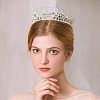 Crown Glass Rhinestone Patches DIY-WH0260-81A-6