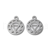 Chakra 304 Stainless Steel Charms STAS-F300-05P-1