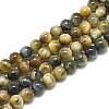 Natural Dream Tiger Eye Beads Strands G-S300-6mm-107A-1