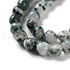 Natural Tree Agate Beads Strands G-NH0035-01-4