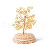 Natural Yellow Quartz Chips Money Tree in Dome Glass Bell Jars with Wood Base Display Decorations DJEW-B007-04F-2