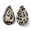 Natural Dalmatian Jasper Cabochons G-N326-72J-2