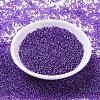 MIYUKI Round Rocailles Beads SEED-G007-RR1347-1