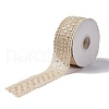 10 Yards Polyester Lace Trim Ribbon OCOR-C004-06I-1