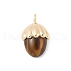 Natural Tiger Eye Pendants KK-Z107-02G-02-1