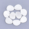 Freshwater Shell Cabochons SHEL-S274-93-1