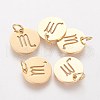 Ion Plating(IP) 304 Stainless Steel Pendants A-STAS-Q201-T445-8G-1