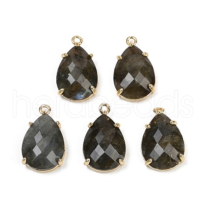 Natural Labradorite Faceted Pendants G-K347-05G-02-1