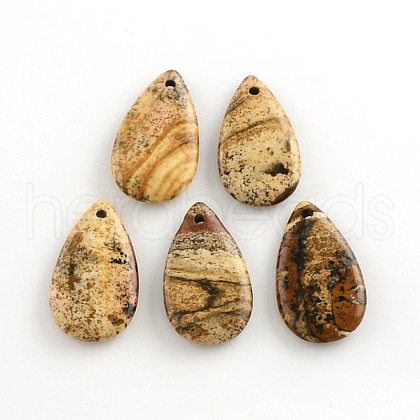 Picture Jasper Gemstone Pendants G-R270-11-1