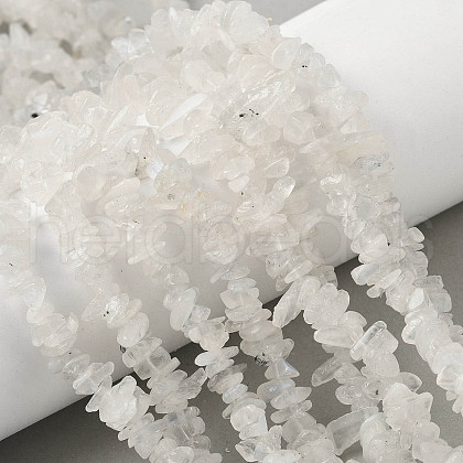 Natural Rainbow Moonstone Chip Beads Strands G-C195-01-1