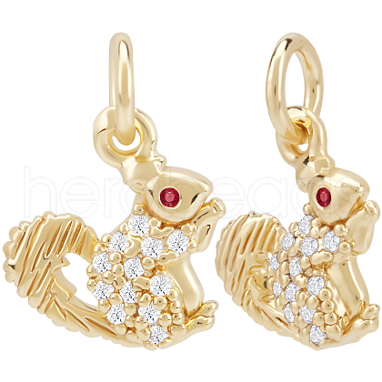 Beebeecraft 12Pcs Brass Micro Pave Cubic Zirconia Charms ZIRC-BBC0002-77-1