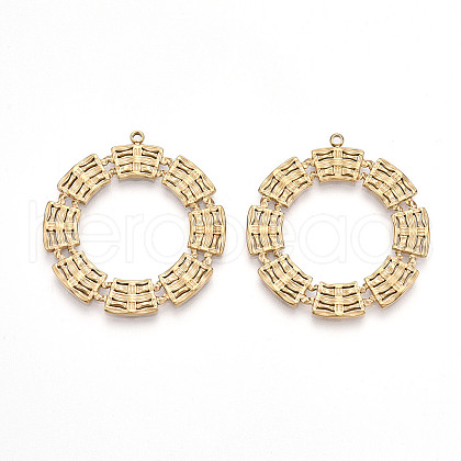304 Stainless Steel Pendants STAS-T064-67G-1