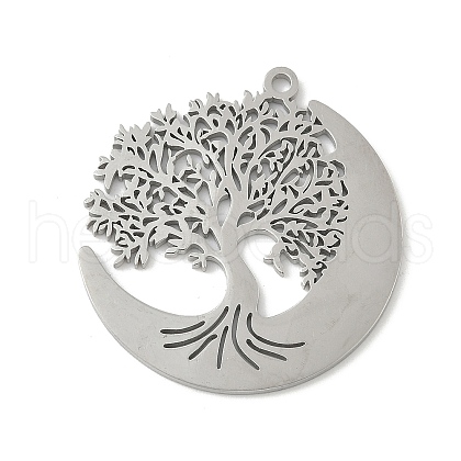304 Stainless Steel Pendants STAS-V016-10P-1
