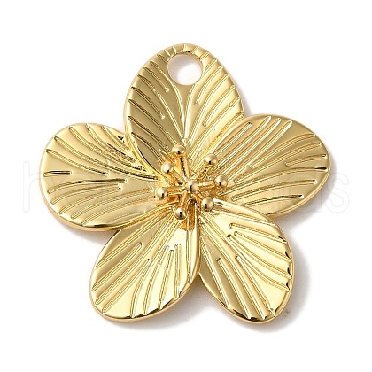 Rack Plating Brass Pendants X-KK-A229-12G-1