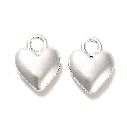 Long-Lasting Plated Alloy Charms PALLOY-A006-18S-1