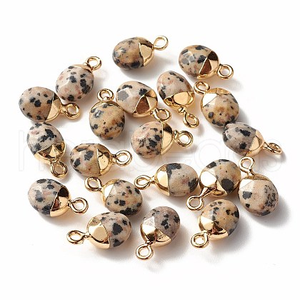 Electroplate Natural Dalmatian Jasper Charms G-S344-09C-1