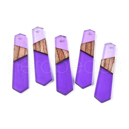 Resin & Walnut Wood Pendants RESI-N025-020-C03-1